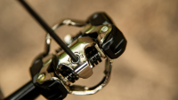 Trek Pedal Line Comp Black