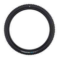Schwalbe Pneu Romy 29x2.40 Trail Pro Soft TL-Ready black Radial