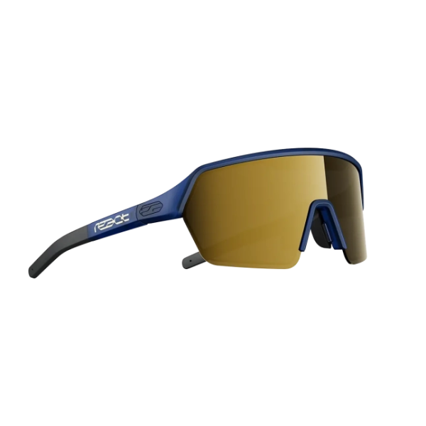React ervo gold blue