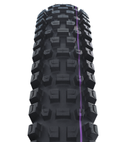 Schwalbe Pneu Albert 29x2.50 Trail Pro UltraSoft TL-Ready black Radial