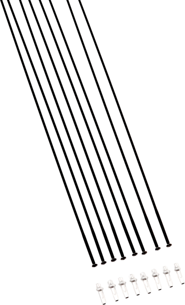 DT Swiss Felgenmagnet
