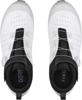 Fizik Artica GTX Road Shoes weiss/grau 37