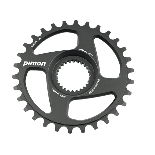 Pinion Kettenrad Hinterrad 24