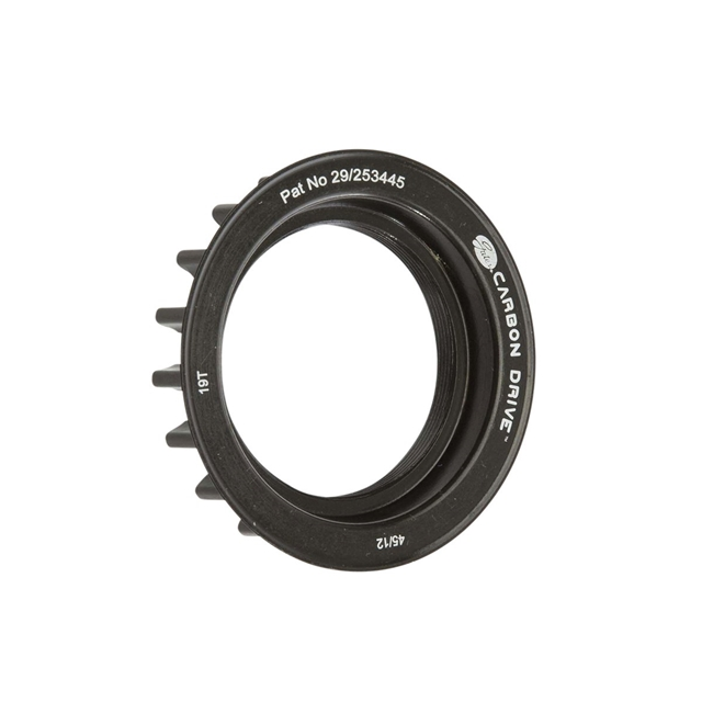 Gates Carbon Drive SV Ritzel hinten Gates 22Z Roh 22 Zähne / für Rohloff22 Zähne, für Rohloff Nabe,