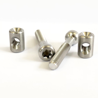 BikeYoke Revive Sattelklemmschrauben Titan, .