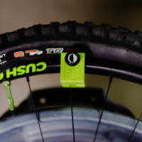 CushCore Bead Bro.