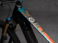 DyedBro E-Bike Frame Protection. Colour.
