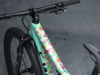DyedBro Frame Protection Hawaii. Gloss.