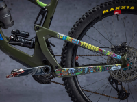 DyedBro Frame Protection Juay X . Colour.