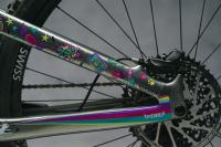 DyedBro Frame Protection Unicorn.