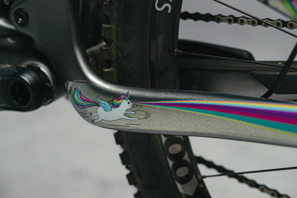 DyedBro Frame Protection Unicorn.