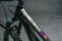 DyedBro Frame Protection Unicorn.