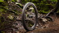 BONTRAGER Reifen Brevard RSL XT 29x2.5 TLR Black