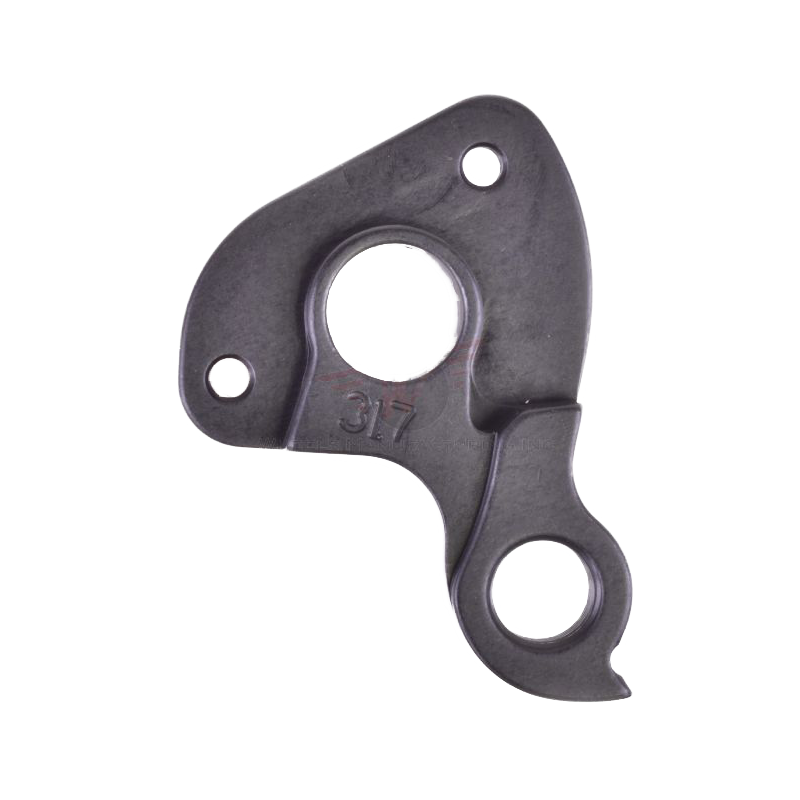 Wechselauge, Typ 317, Parlee, Steckachse 12x1, Fixierung 2 x M12