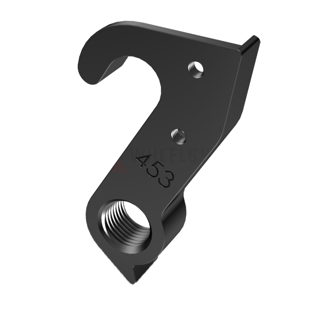 Canyon Wechselauge, Typ 453 Ultimate, Fixierung M3 x 8 mm
