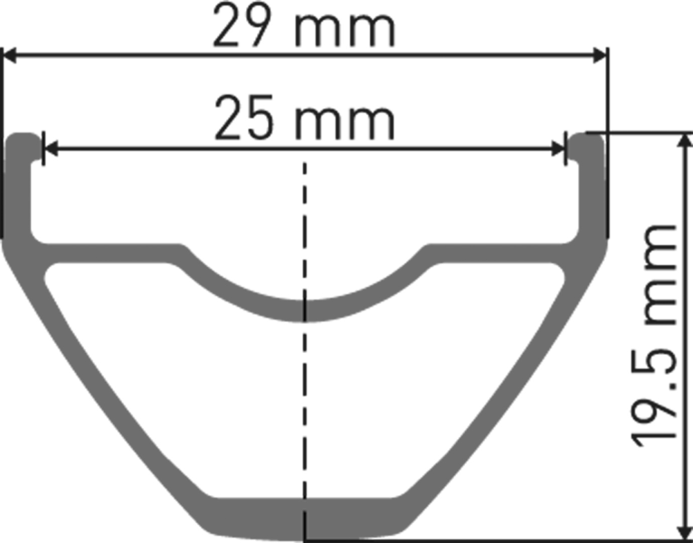 DT Swiss X 1900 SPLINE Laufrad 29" CL 25 142/12mm HG