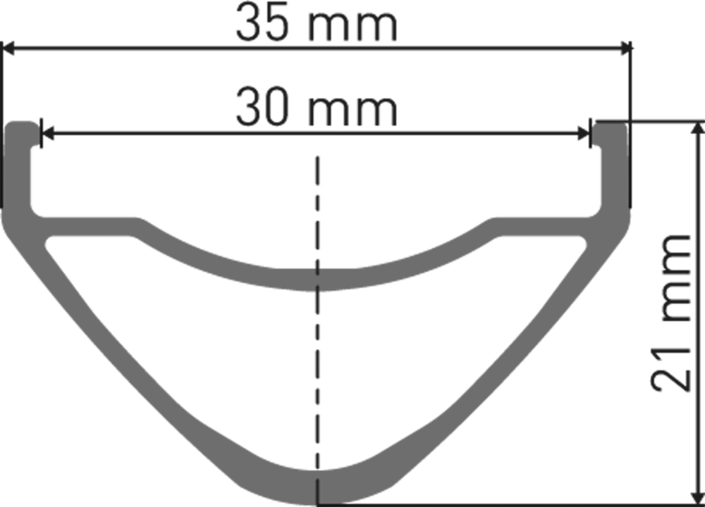 DT Swiss EX 1700 SPLINE Laufrad 29" CL 30 110/15mm