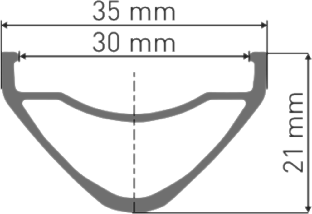 DT Swiss FR 1500 CLASSIC Laufrad 29" IS 30 110/15mm