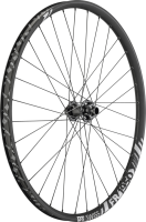 DT Swiss FR 1950 CLASSIC Laufrad 29" IS 30 110/20mm