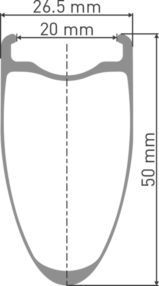 DT Swiss ARC 1100 DICUT Laufrad 700C CL 50 100/12mm