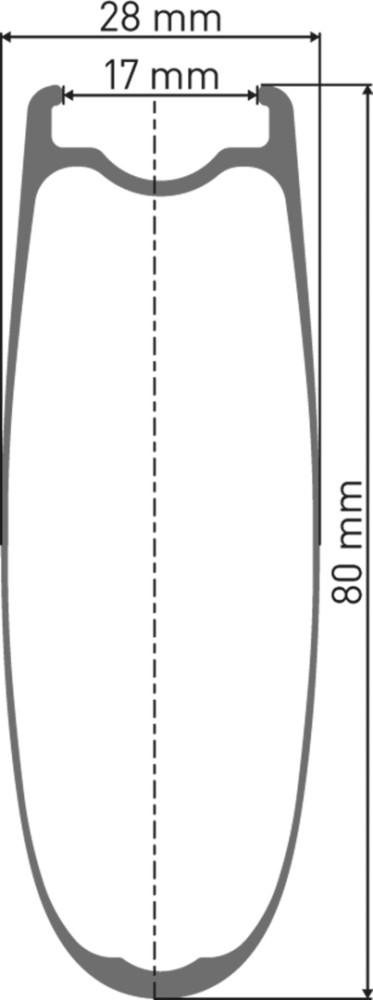 DT Swiss ARC 1100 DICUT Laufrad 700C RB 80 100/5mm
