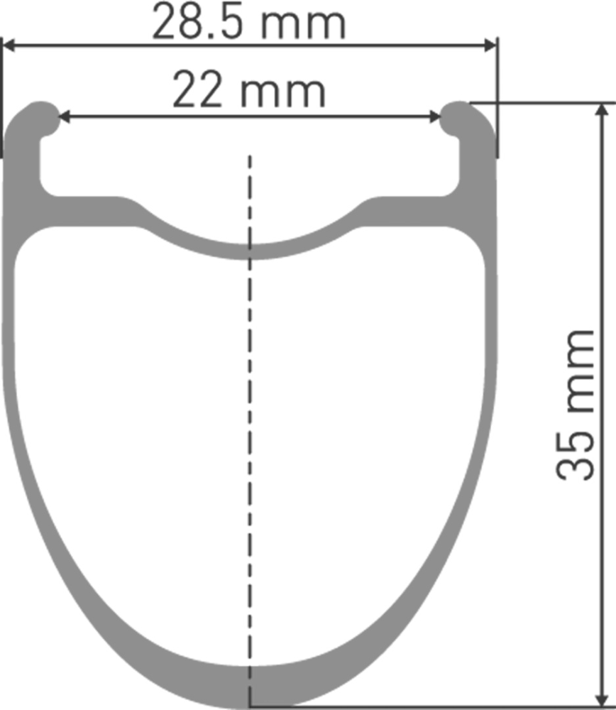 DT Swiss ERC 1100 DICUT Laufrad 700C CL 35 100/12mm