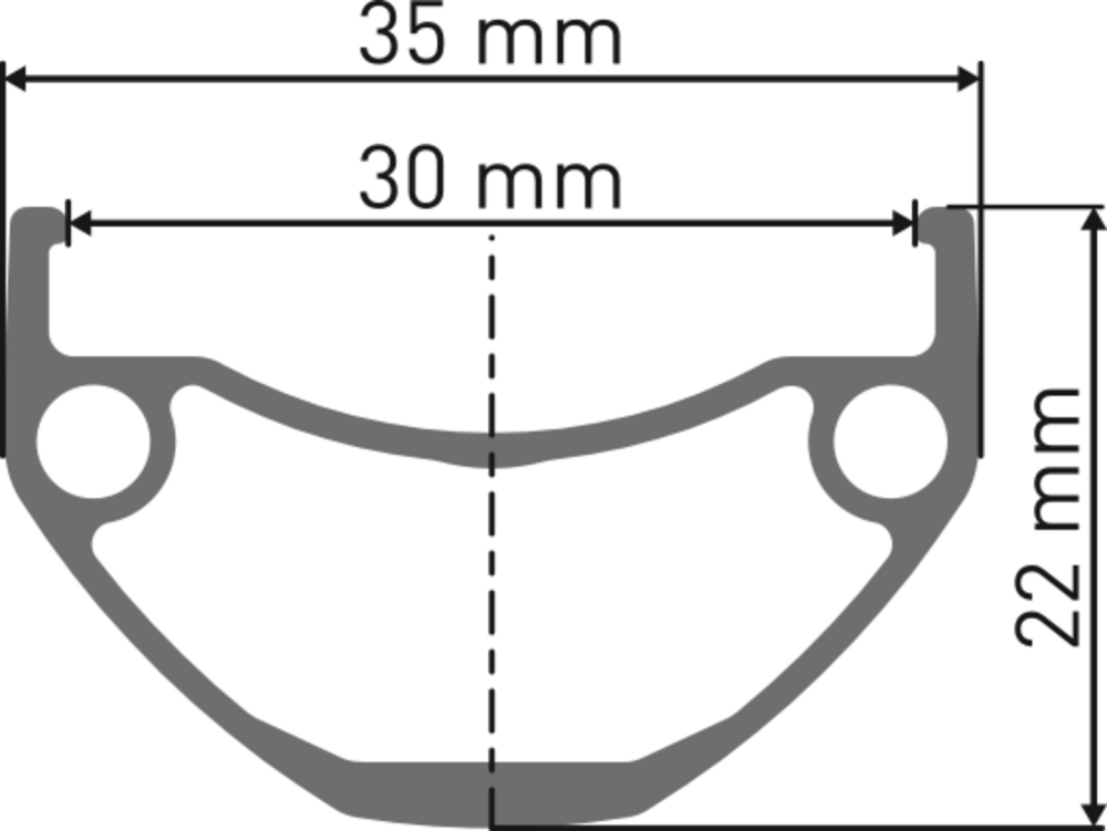 DT Swiss HU 1900 SPLINE Laufrad 29" CL 30 100/5mm