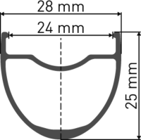 DT Swiss HG 1800 SPLINE Laufrad 700C CL 25 148/12mm HG