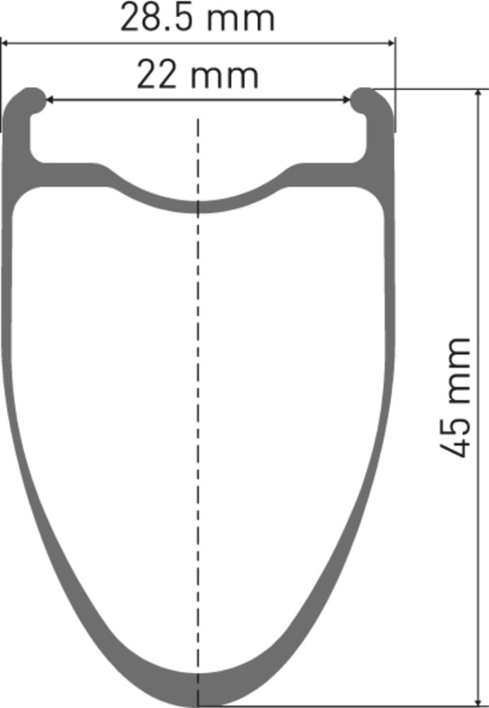 DT Swiss ERC 1100 DICUT Laufrad 700c CL 45 100/12mm WTS