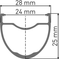 DT Swiss GR 1600 SPLINE Laufrad 700c CL 25 100/12mm Dynamo