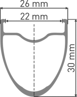 DT Swiss E 1800 SPLINE Laufrad 700C CL 30 142/12mm XDR WTS