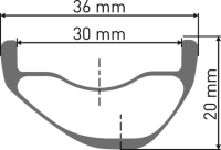 DT Swiss XMC 1200 SPLINE Laufrad 29" CL 30 110/15mm