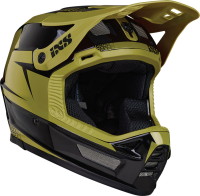 IXS Xult DH helmet