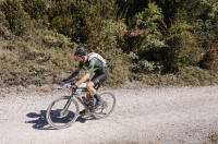 Cyclite Race Backpack / 01, black