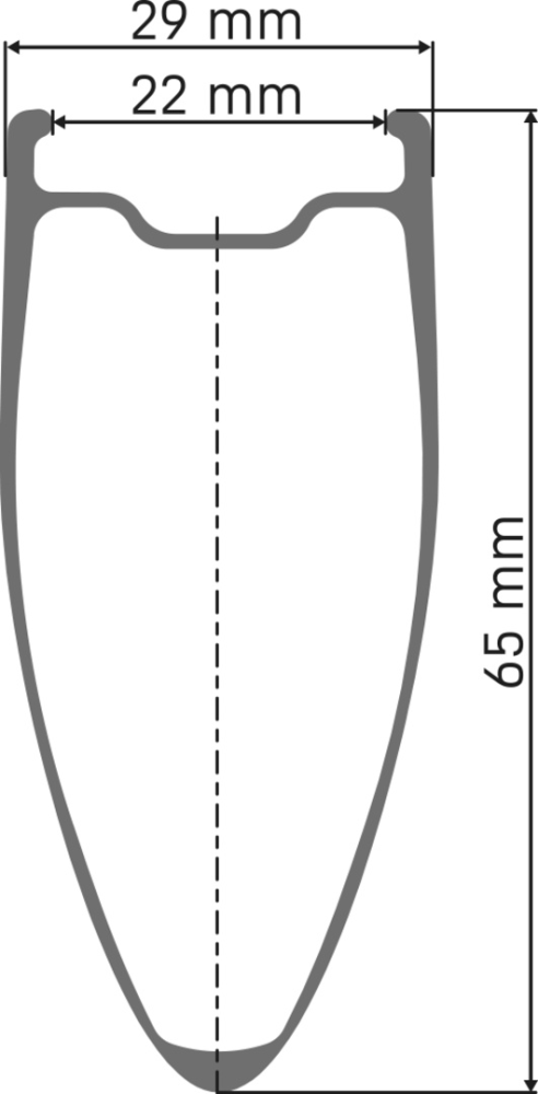 DT Swiss DT ARC 1100 DICUT Laufrad 700C CL 65 142/12 HG XDR