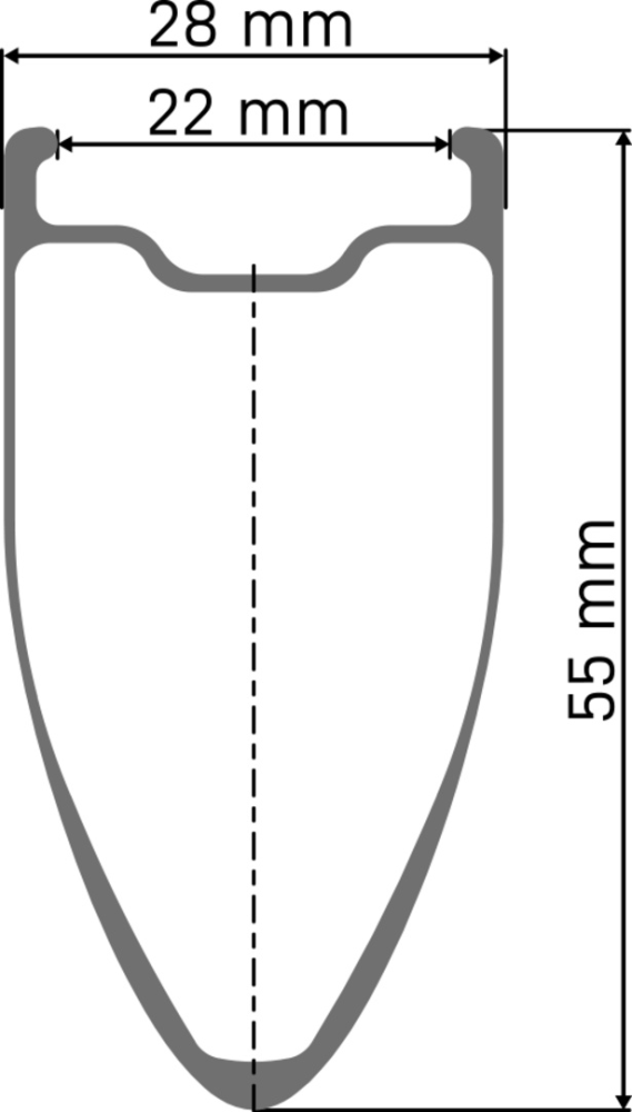 DT Swiss DT ARC 1100 DICUT Laufrad 700C CL 55 100/12 WTS