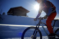 Schwalbe Pneu Ice Spiker Pro 29x2.60 Starr black