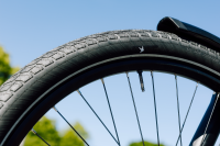 Schwalbe Pneu Motion Big Apple 20x2.15 Addix Green starr mit Reflexstreifen black