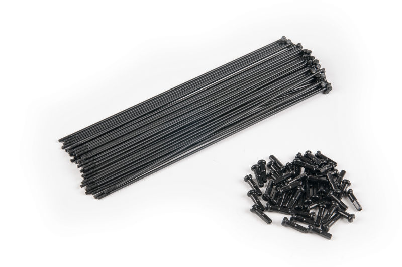 ÉCLAT PG spokes 182mm 40pcs. incl. black nippl