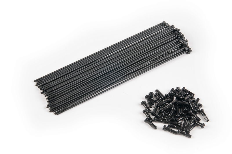ÉCLAT PG 184mm spokes incl. black nipp 40pcs