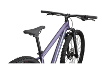 Specialized Rockhopper Comp