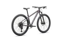 Specialized Rockhopper Comp