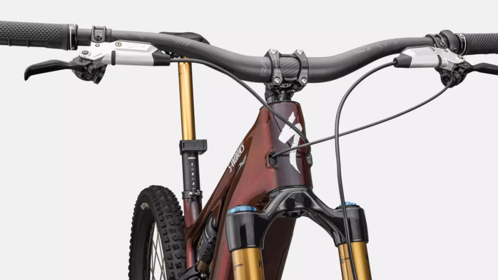 Specialized S-Works Turbo Levo 4