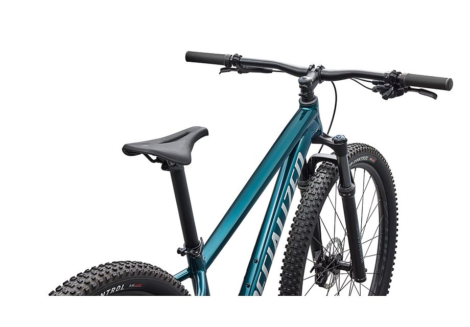 Specialized Rockhopper Expert