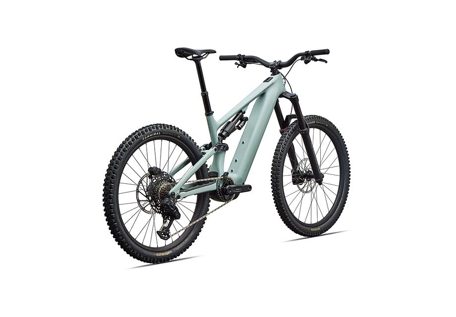 Specialized Levo 4 EVO Comp S2