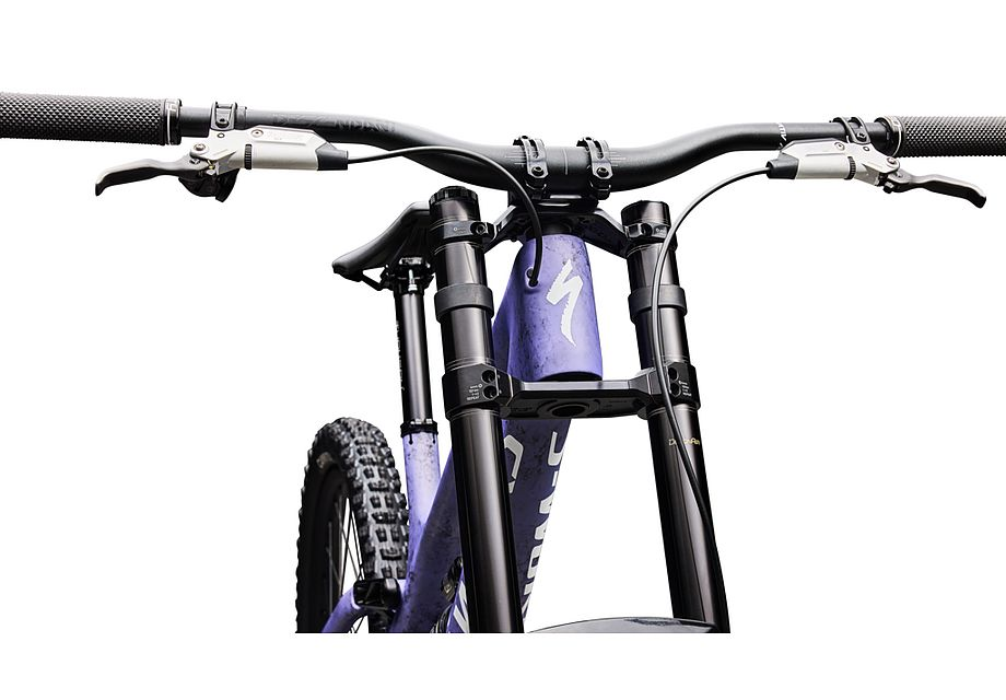 Specialized S-Works Demo 11