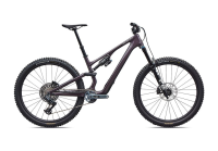 Specialized Stumpjumper 15 EVO Expert - SRAM GX AXS, FOX Performance Elite